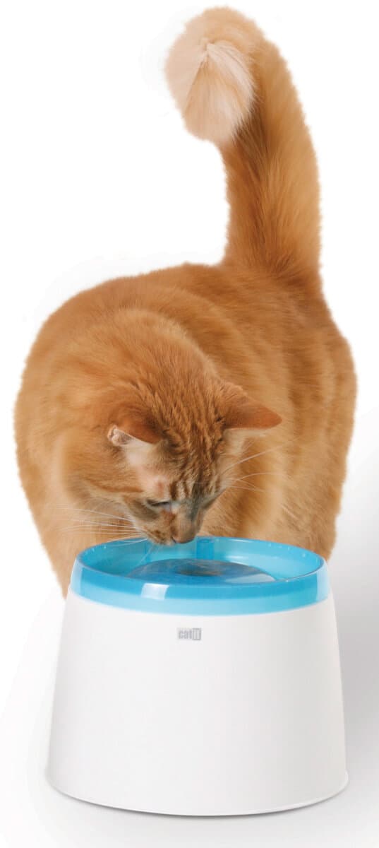 Catit Economy, fântână de apă pentru pisici, 2 L